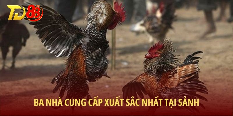 Ba nhà cung cấp xuất sắc nhất tại sảnh