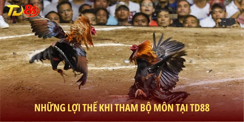 Những lợi thế khi tham bộ môn tại TD88