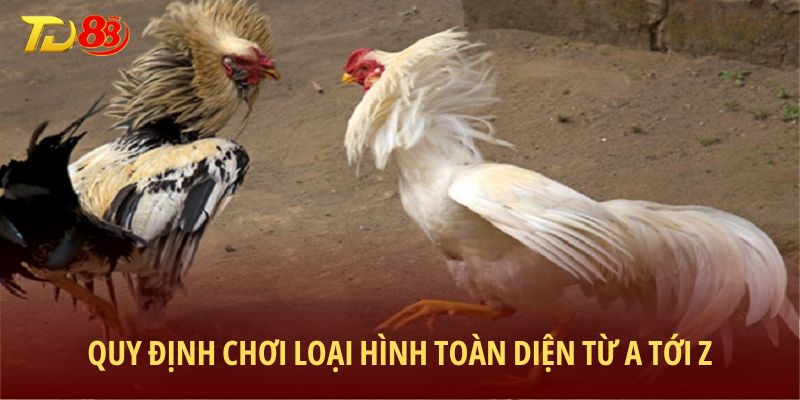Quy định chơi loại hình toàn diện từ A tới Z