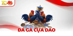 Đá Gà Cựa Dao - Bí Quyết Cá Cược Chiến Thắng Từ TD88