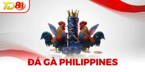 Đá Gà Philippines - Trận Chiến Cá Cược Đối Kháng Đỉnh Cao