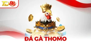 Đá Gà Thomo - Trải Nghiệm Cá Cược Đỉnh Cao, Siêu Hấp Dẫn