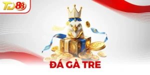 Đá Gà Tre – Thú Chơi Dân Gian Hấp Dẫn Không Thể Bỏ Qua