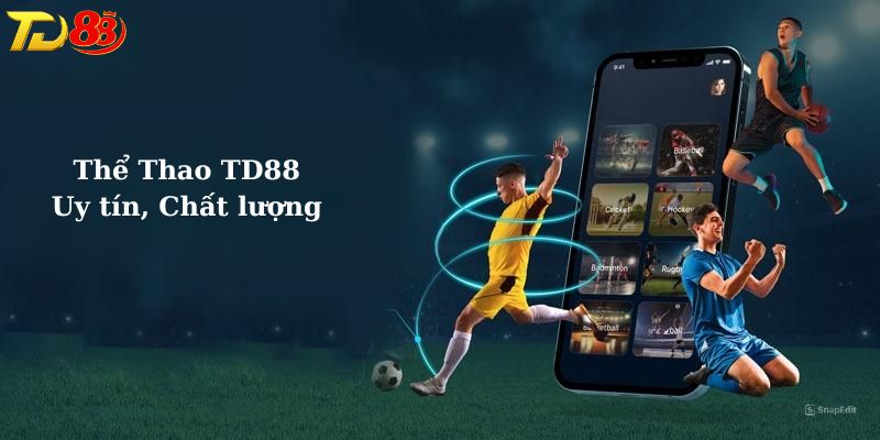 Giới thiệu chung về sảnh thể thao TD88