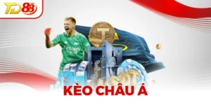 Kèo Châu Á - Khái Niệm Và Hướng Dẫn Đọc Kèo Chính Xác
