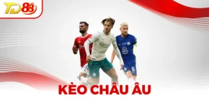 Kèo Châu Âu - Bí Kíp Cá Cược Để Trở Thành Top Cao Thủ
