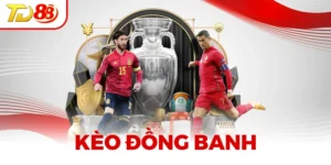 Kèo Đồng Banh TD88 - Cập Nhật Kiến Thức Cá Độ Bóng Đá