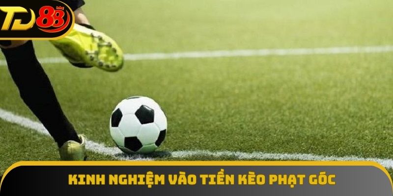 Xem xét điều kiện sân bãi trước khi vào tiền