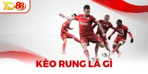 Kèo Rung Là Gì? Giải Đáp Chi Tiết Cho Những Người Mới