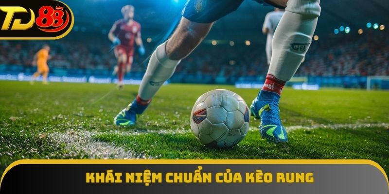 Cần hiểu chính xác kèo rung là gì trước khi tham gia