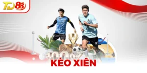Kèo Xiên - Bí Kíp Tối Ưu Lợi Nhuận Trong Cá Độ Bóng Đá