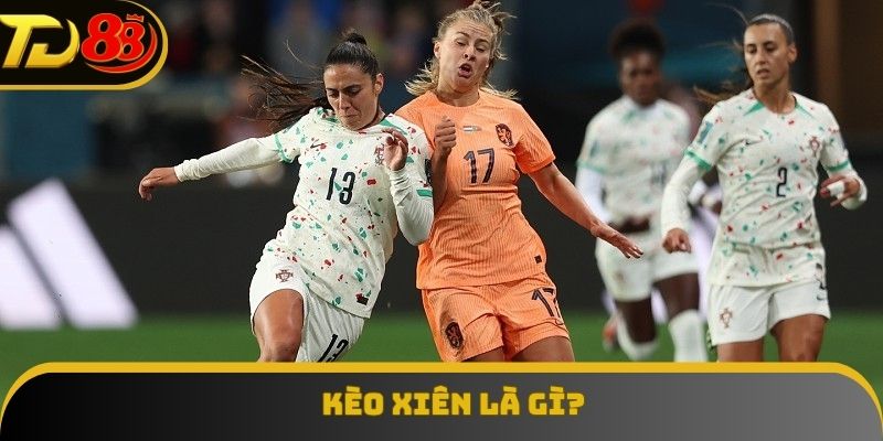 Khái niệm đơn giản của kèo xiên mà bet thủ nào cũng phải nắm rõ