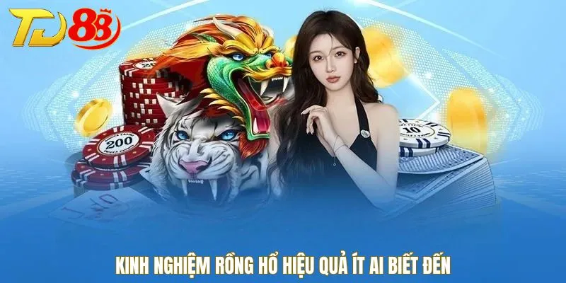 Kinh nghiệm Rồng Hổ hiệu quả ít ai chia sẻ