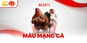 Màu Mạng Gà - Tìm Hiểu Chi Tiết Từng Thông Tin Liên Quan