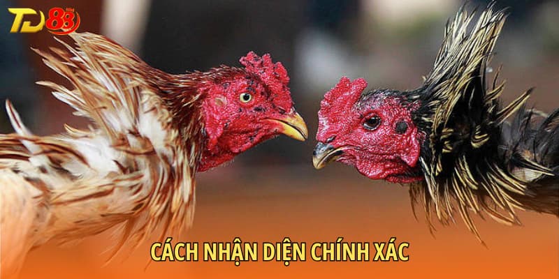 Cách nhận diện chính xác