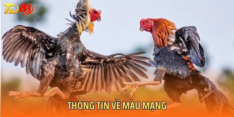 Thông tin về màu mạng gà đá