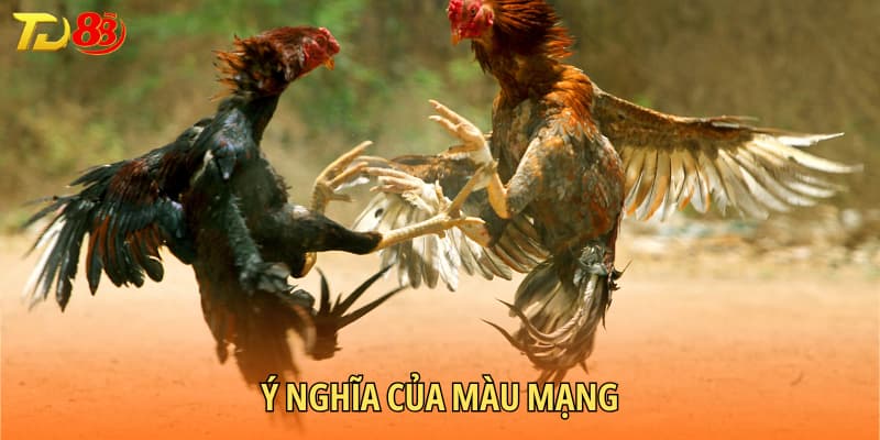 Ý nghĩa của màu mạng gà