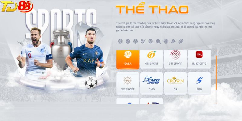 Một vài sảnh cược hàng đầu tại thể thao TD88