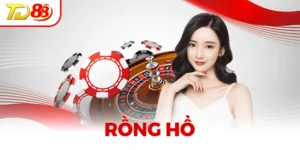 Bí Kíp Rồng Hổ Dễ Nhớ – Bứt Phá Lợi Nhuận Chỉ Trong Vài Ván