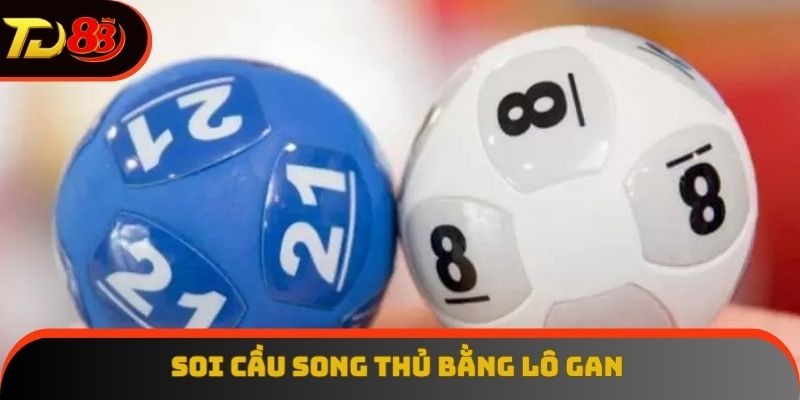 Sử dụng lô gan bắt song thủ với hiệu quả bất ngờ