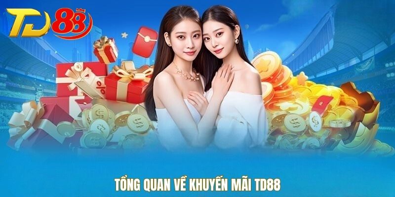 Tổng quan về khuyến mãi TD88